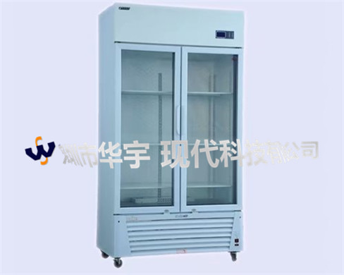 91视频专区免费看現代出貨照片 91视频专区免费看現代出貨照片